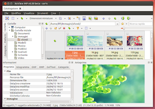 XnView MP 0.51 su Ubuntu 12.04