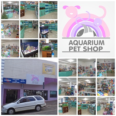 Aquarium e PetShop, R. Mal. Borman, 183-d - Centro, Chapecó - SC, 89801-050, Brasil, Loja_de_animais, estado Santa Catarina