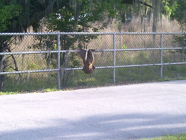 County of Orange: Blanchard Park