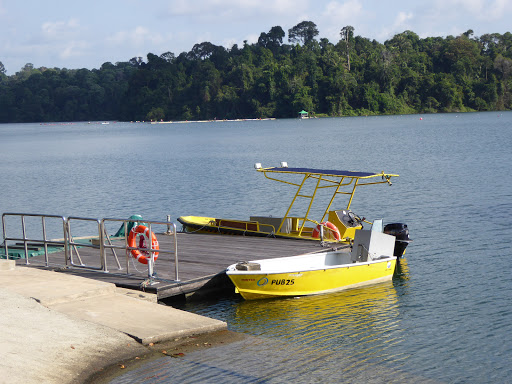 MacRitchie Reservoir Park
