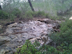 IMG_20130202_113213.jpg