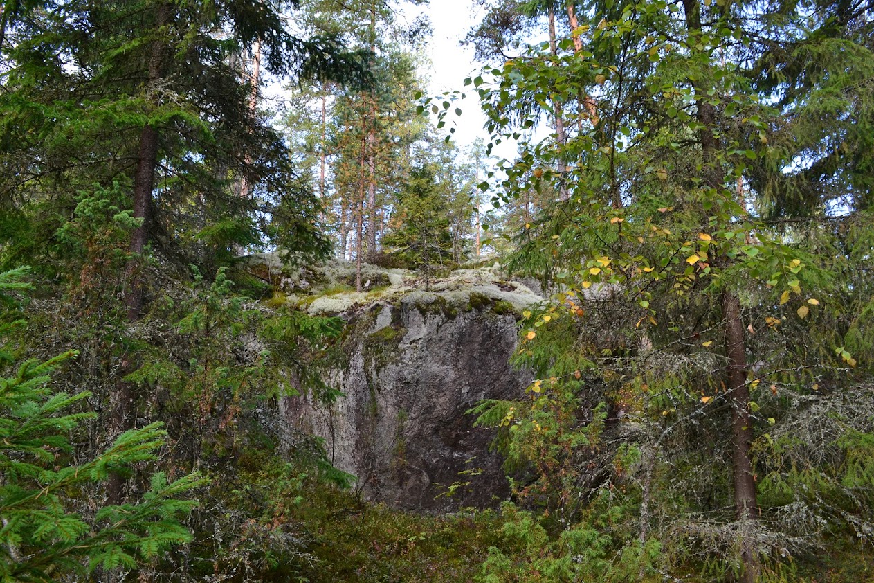 Карельский перешеек фото