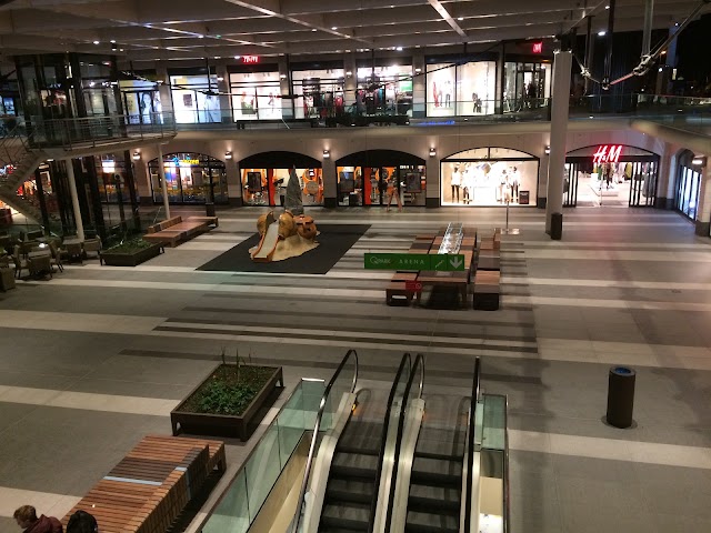 Arena