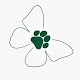 Green Butterfly Dog grooming