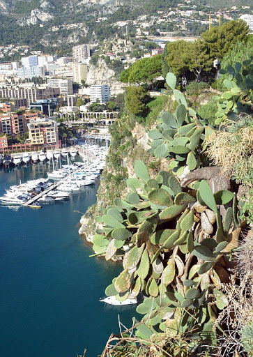 Port de Fontvieille