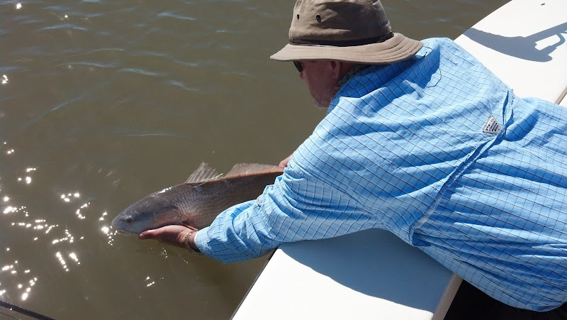 Releasing a red fish