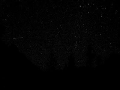 Star picture taken with my point and shoot - increased brightness and shadows to show the stars I could see, and perfect timing of a meteor streaking across the sky