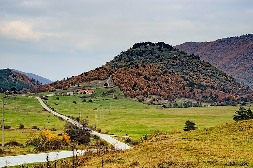 Руминика