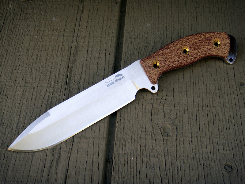 Busse-ZTSH-1.JPG