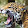 Belize AlphaBlogger Belize AlphaBlogger's profile photo