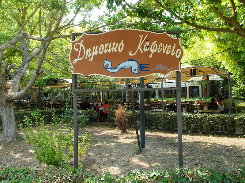 Южное путешествие, июль - август 2013 г.