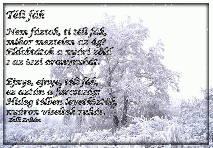 Zelk Zoltán: Téli fák - 27 December 2013 - Erika-tanoda