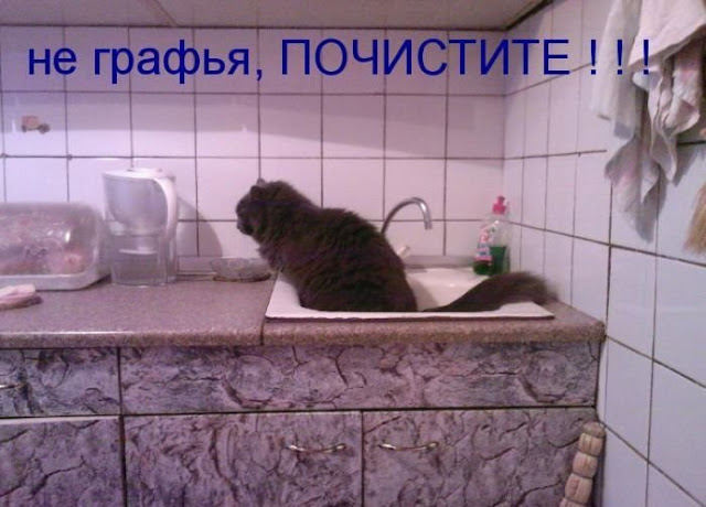 Ни дня без улыбки: последняя в июне... Ни дня без улыбки: последняя в июне...