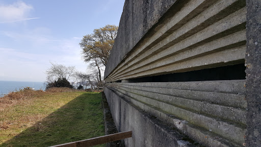 Fort Henry