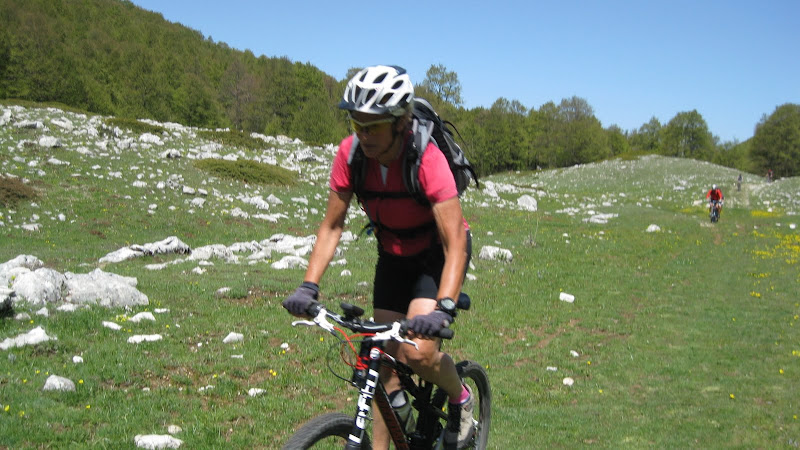 PuzzilloM%2526M%2520022.jpg