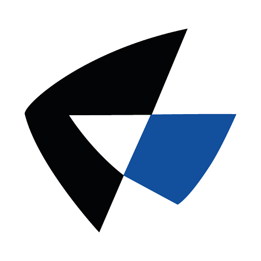 language coach institute logo