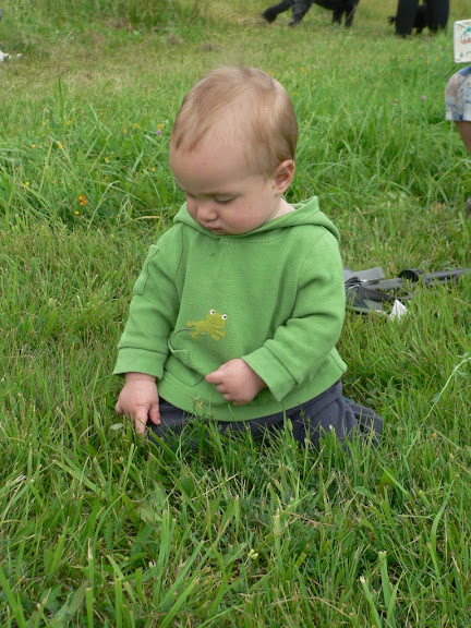 P1250038.JPG
