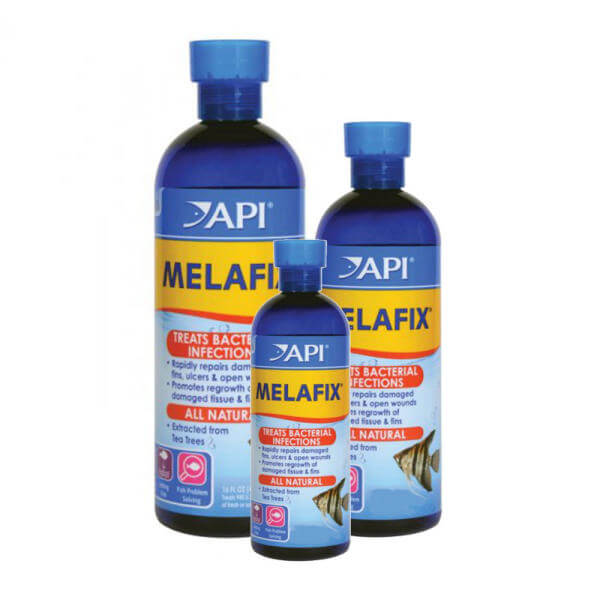 MelaFix đặc trị nấm sợi bông và một số loại nấm khác