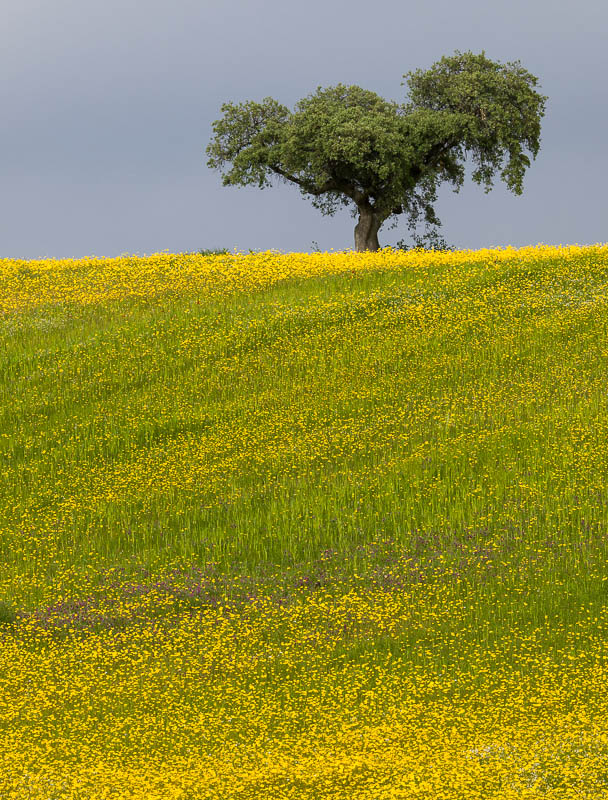 20130428_18-14-06_extremadura_0478_DxO.jpg