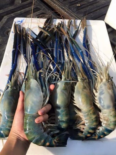 Photos of National Seafood Ind. Ltd.