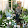 Chu WWWebster Chu WWWebster's profile photo
