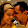 Fauzan Erich Emmerling Fauzan Erich Emmerling's profile photo
