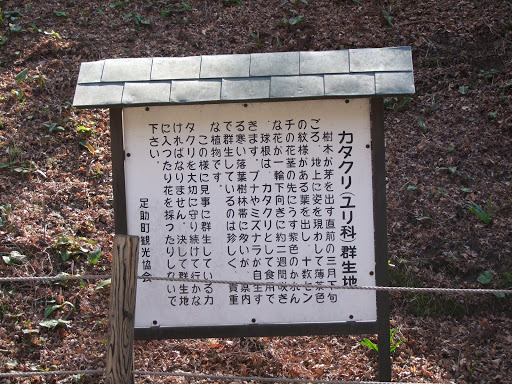 香嵐渓 入口