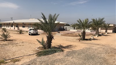 Photos of Mohammed bin farm Dabs Djaimir Alkaama