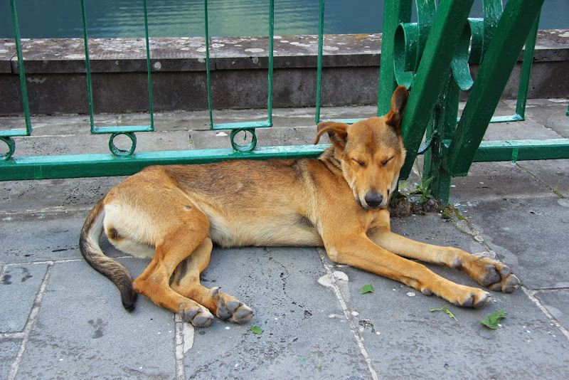 Путешествие в Абхазию, август 2014 г.