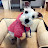 Taebin Shin avatar image
