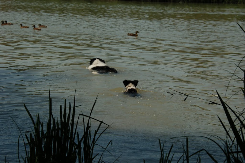 DSC_7098.JPG