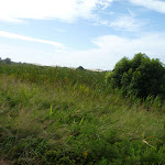 Views over the Owens Walkway near Cain St in Redhead (390836)