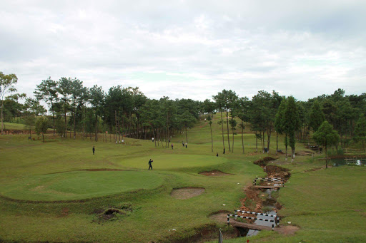 Eco Tours And Travels, Below Girls High School,, Above Shikher Restaurant,, Rishi Road, Kalimpong, West Bengal 734301, India, Tour_Agency, state WB