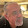 clay perkins clay perkins's profile photo