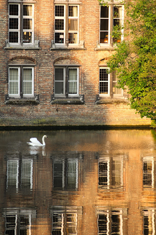 Взгляд сквозь лужу: отражения мира в фотографиях