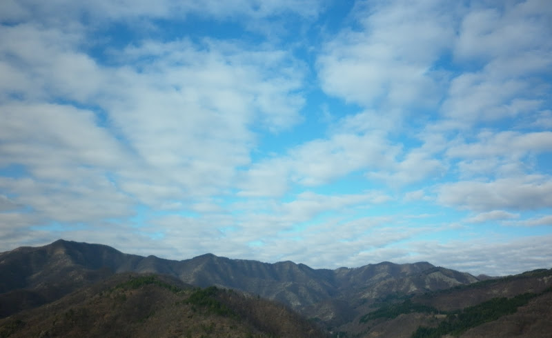 P1000154.JPG