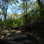 Rocky track near the end of Boronia Ave (343903)