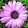 Emily Tyszka Emily Tyszka's profile photo