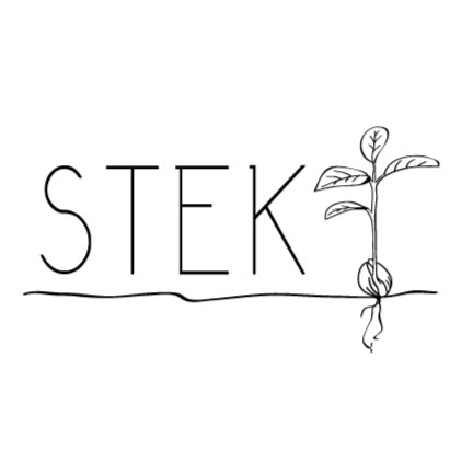 Stek Leeuwarden logo