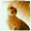 Silvia Riojo Silvia Riojo's profile photo
