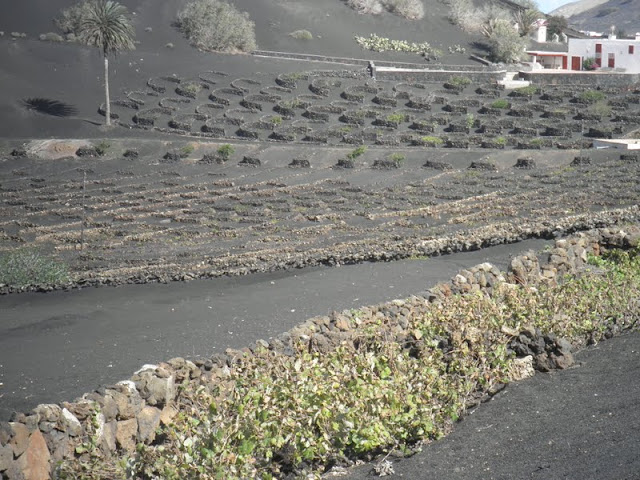 LOS PUEBLOS DE LANZAROTE - LANZAROTE LOW COST (6)