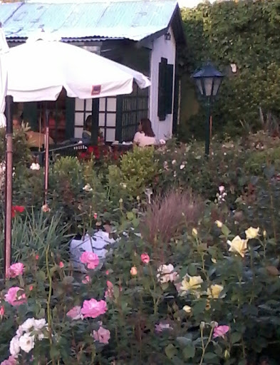 Lavender Tea Room