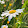Roisin Markham Roisin Markham's profile photo