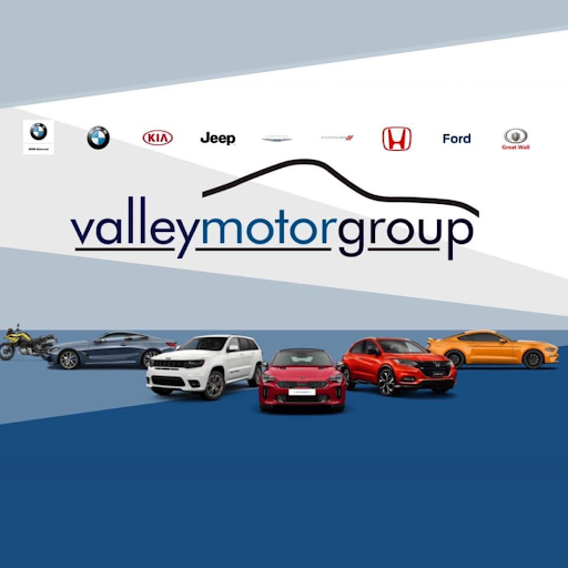 Valley Motor Group logo