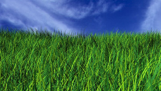 Cover photo