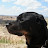 Stephanie Faint avatar image