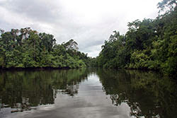 AUSTRALIA: EL OTRO LADO DEL MUNDO - Blogs de Australia - Cairns: Kuranda-buceo en la Gran Barrera-Rain Forest (16)