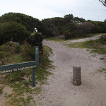 Track to Green Cape Lighthouse from car park (107542)