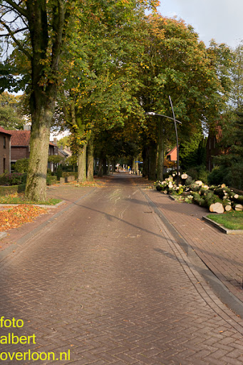 Bomen gekapt Museumlaan in overloon 20-10-2014 (42).jpg