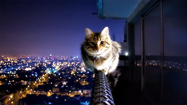 Cover photo